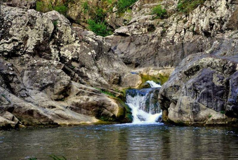 Casa Cu Flori Konuk evi Mihai Viteazu  Dış mekan fotoğraf