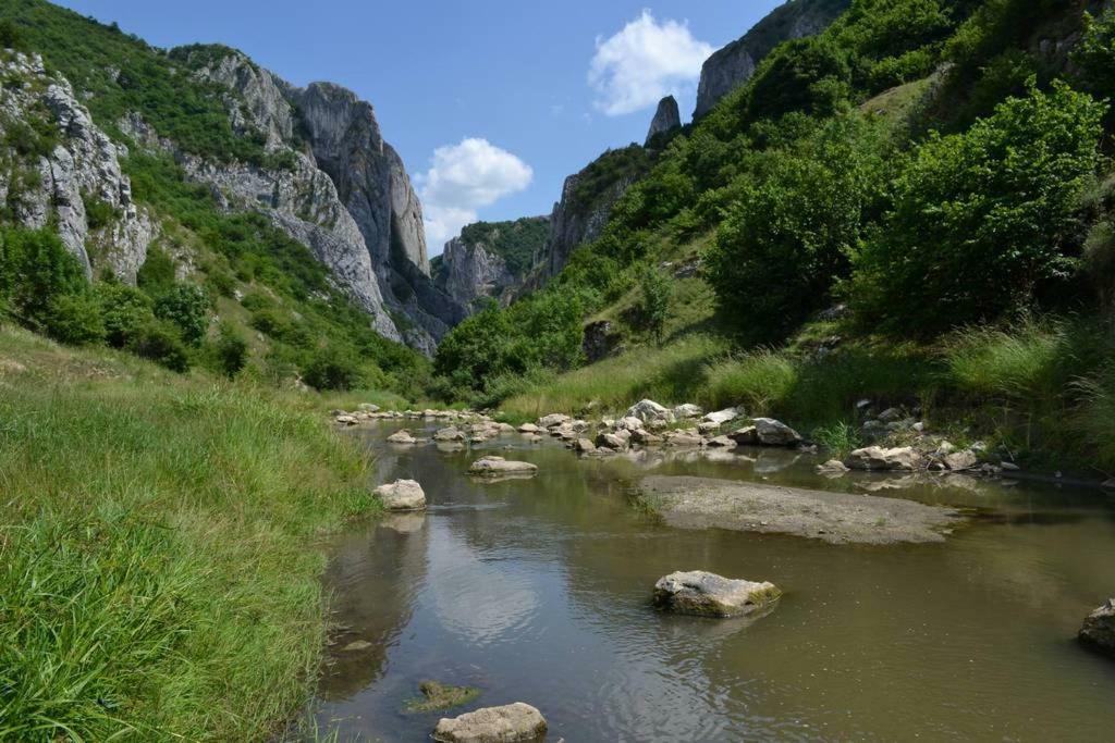 Casa Cu Flori Konuk evi Mihai Viteazu  Dış mekan fotoğraf