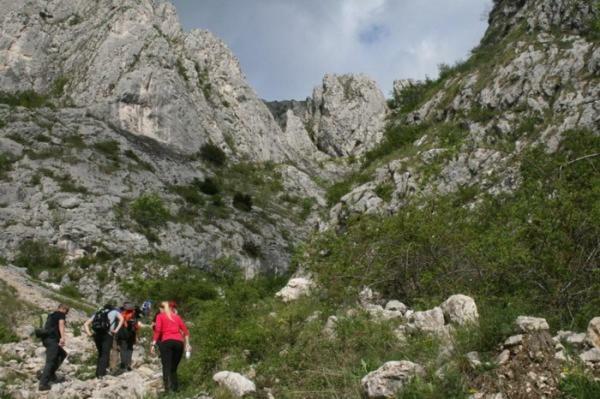 Casa Cu Flori Konuk evi Mihai Viteazu  Dış mekan fotoğraf