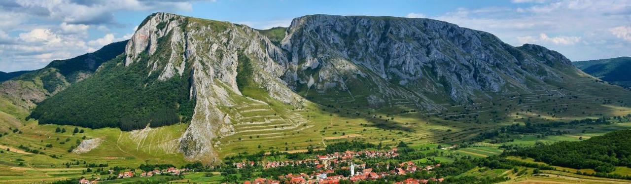 Casa Cu Flori Konuk evi Mihai Viteazu  Dış mekan fotoğraf