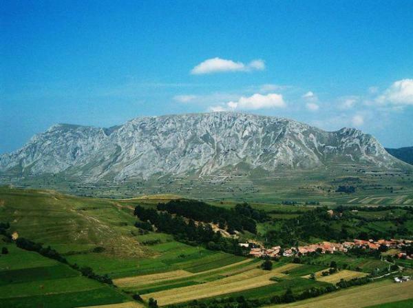 Casa Cu Flori Konuk evi Mihai Viteazu  Dış mekan fotoğraf